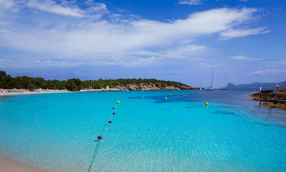Cala Bassa Ibiza | Een gezellig en populair strand met turquoise zeewater